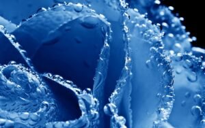 avoid being bullied in singapore